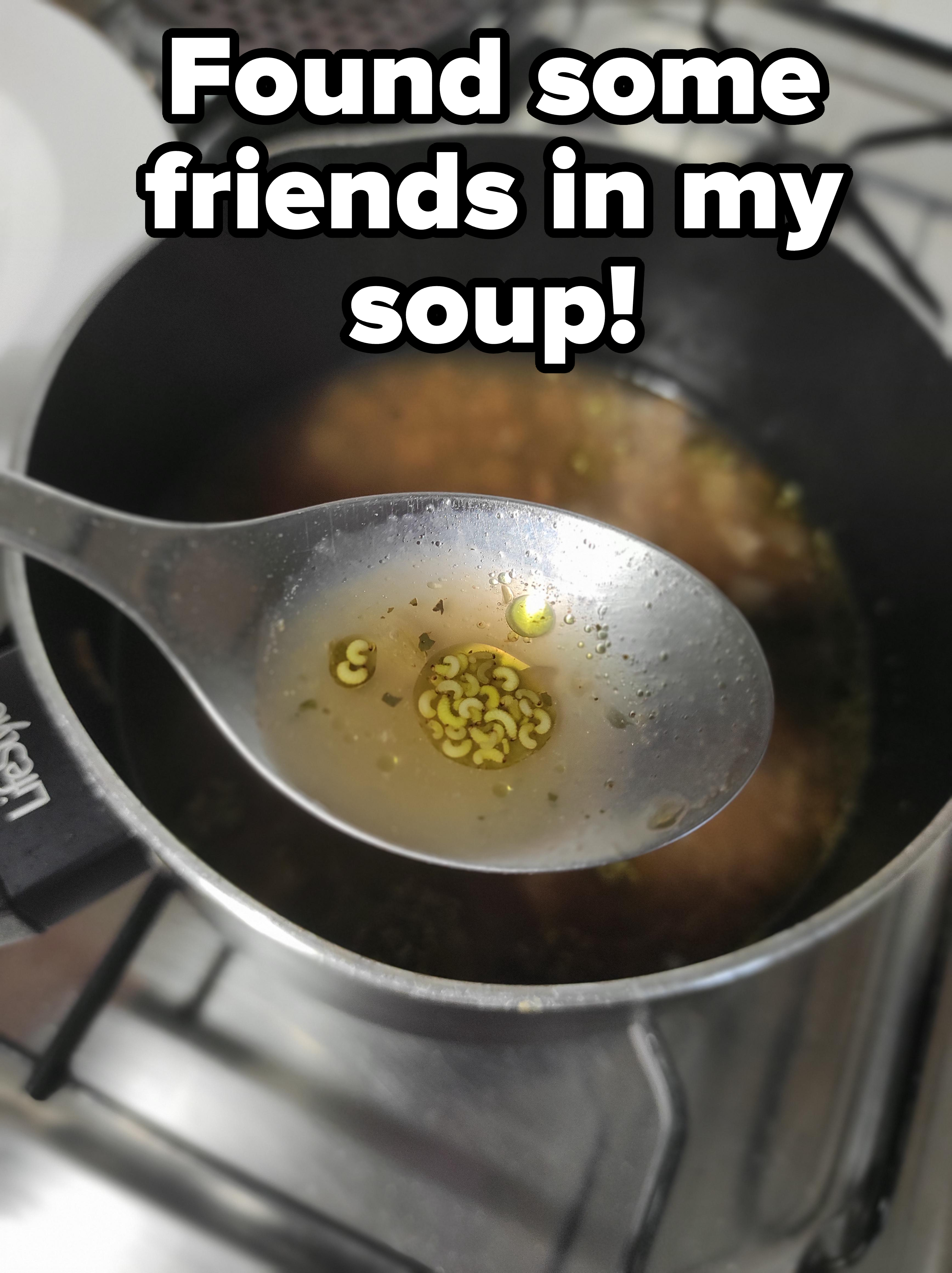 Maggots in liquid on a spoon, with caption &quot;Found some friends in my soup!&quot;