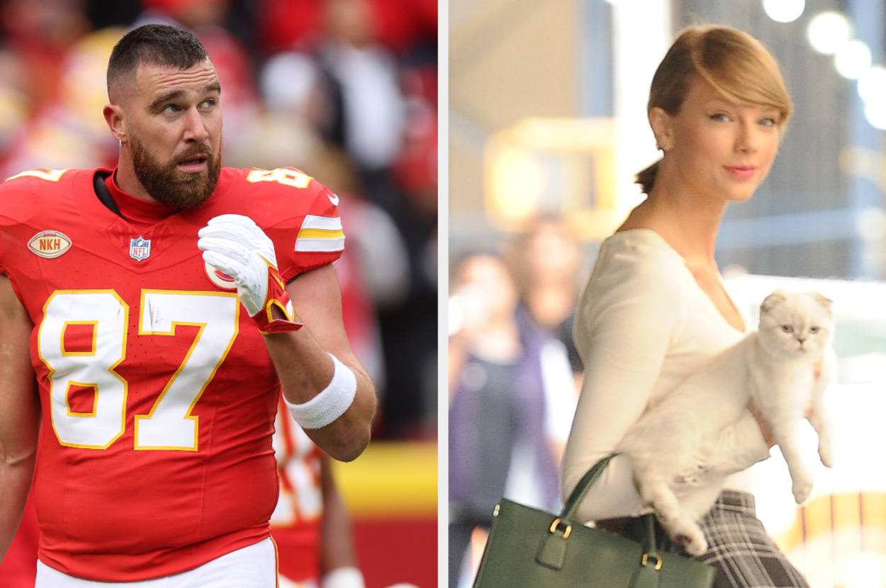 Taylor Swift's Cat Reportedly Has Higher Net Worth Than Travis Kelce