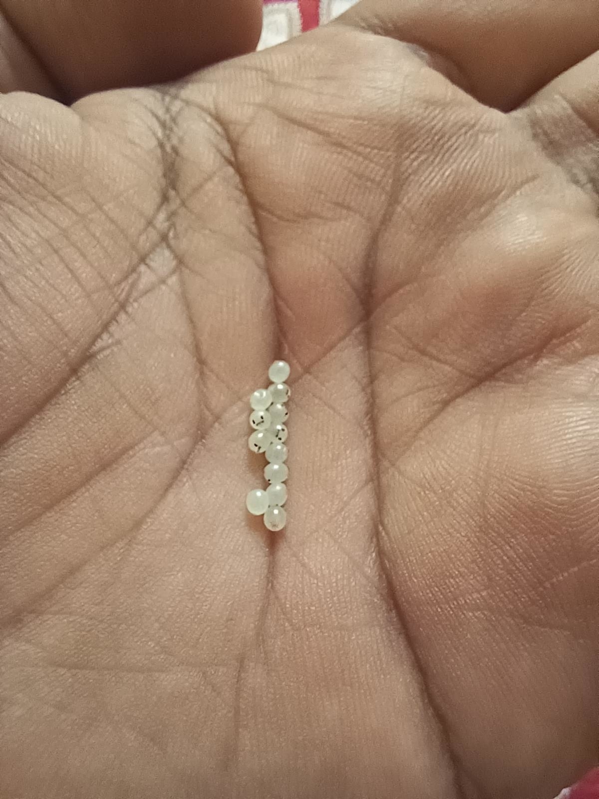 What look like tiny pearls with little dots on them in the palm of a hand