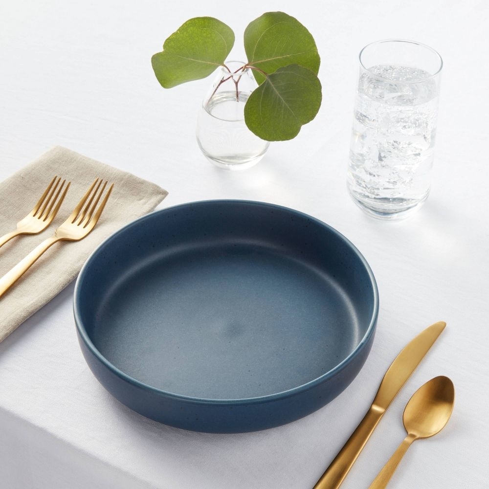 the dinner bowl plate in dark blue