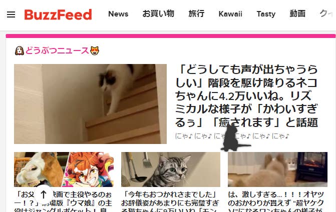 コンセプトは「猫に邪魔されたい」――猫好きの願望をかなえてくれる