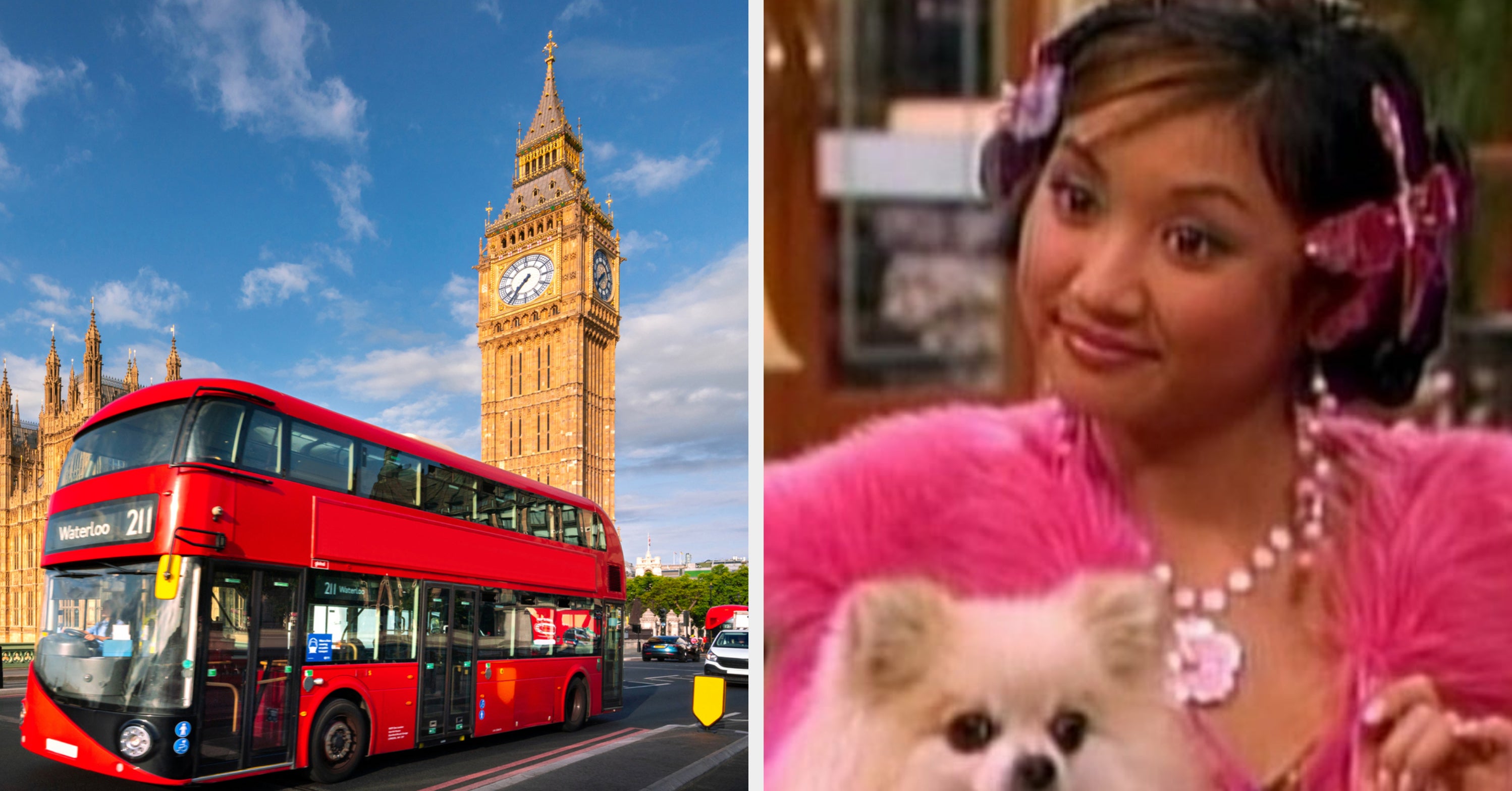 Travel around europe and we ll guess your favorite dog breed