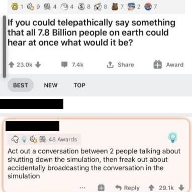 someone says if they could telepathically share a message to all people they would fake a convo about two people shutting down the simulation