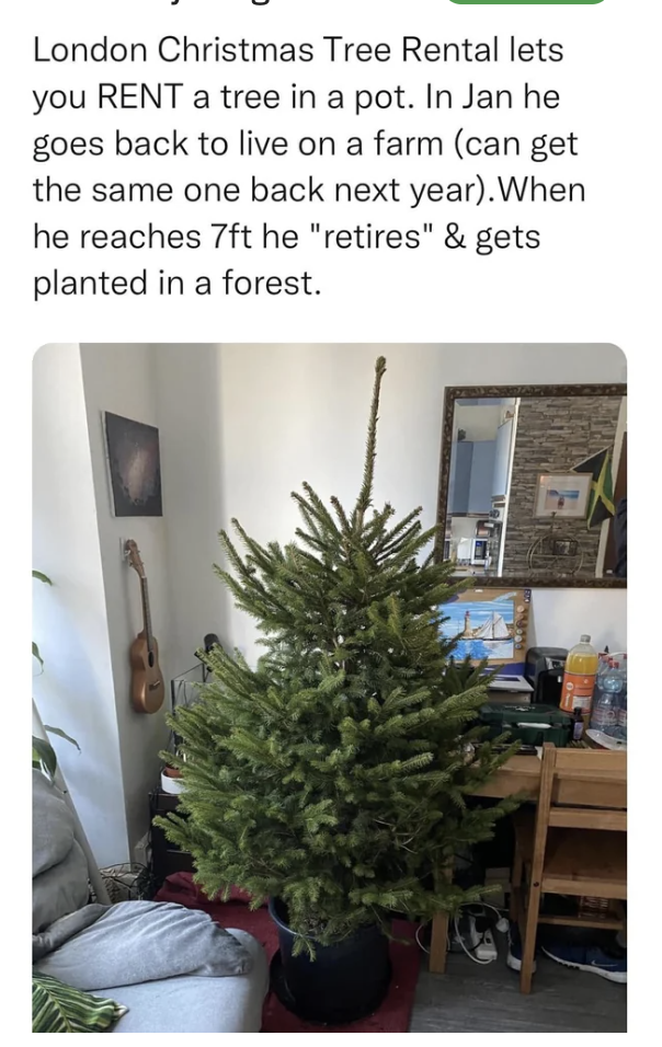 &quot;London Christmas tree rental lets you RENT a tree in a pot; in Jan he goes back to live on a farm (can get the same one back next year); when he reaches 7 ft he &#x27;retires&#x27; and gets planted in a forest&quot;