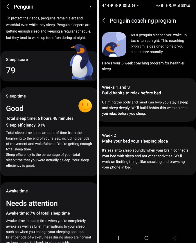 screenshots of Nervous Penguin profile description and coaching plan