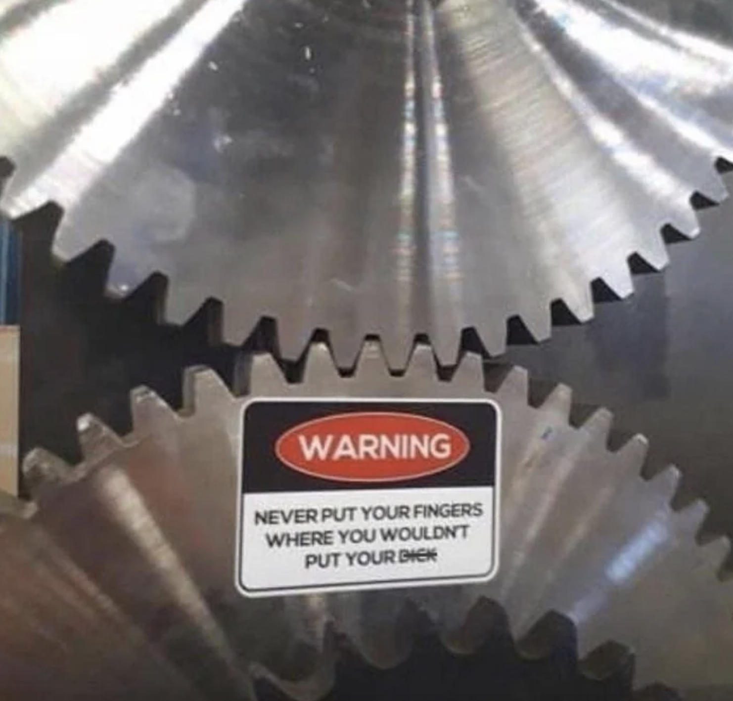 &quot;Warning: Never put your fingers where you wouldn&#x27;t put your dick&quot; (with rotating metal blades)