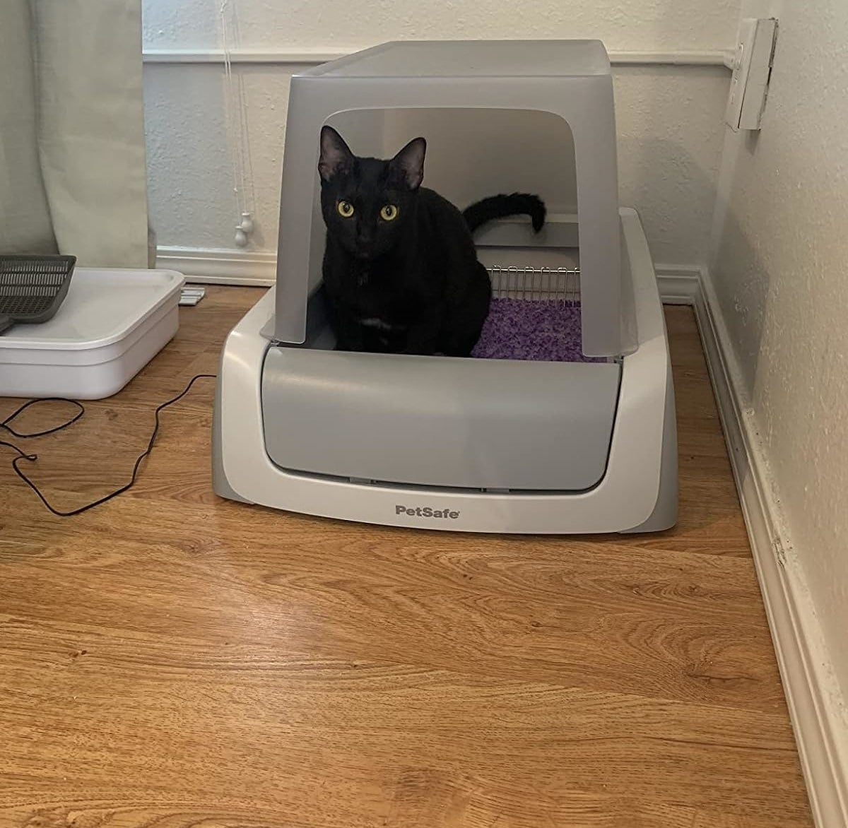 reviewer&#x27;s black cat inside the covered litter box
