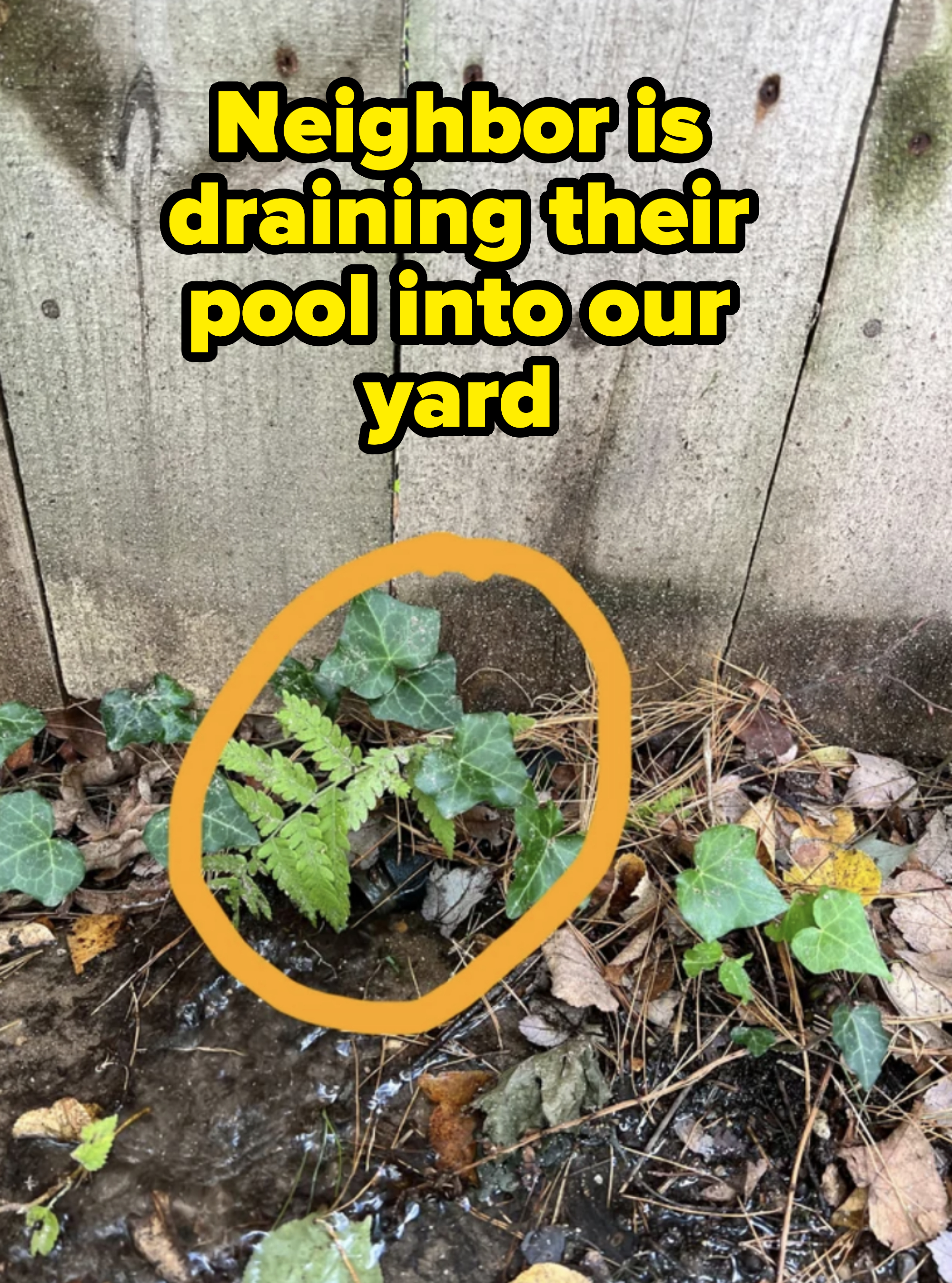 &quot;Neighbor is draining their pool into our yard&quot; with a hose circled