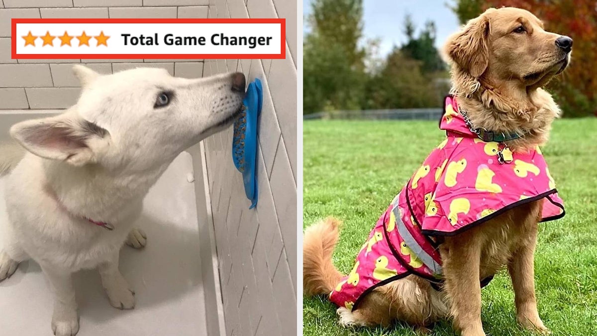 L: a reviewer photo of a dog licking a silicone mat mounted to a shower wall and a five-star review titled "Total game changer", R: a reviewer photo of a golden retriever wearing a pink raincoat with a rubber duck print 