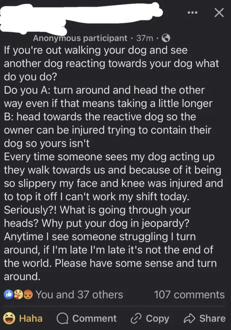 "Please have some sense and turn around"