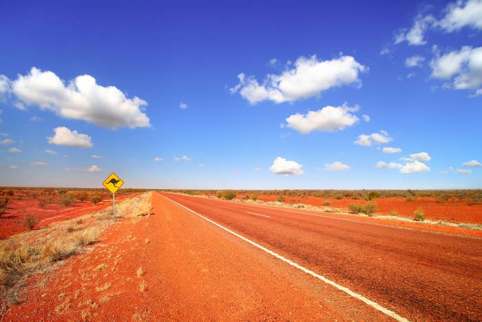 Desert road stretching into the horizon with a kangaroo warning sign on the side