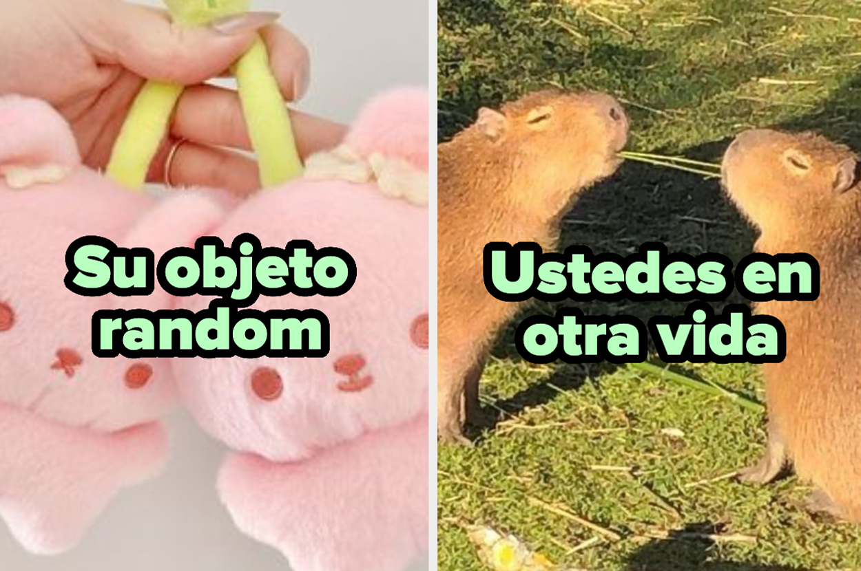 Quiz De Mi Mejor Amiga Y Yo Con Animales Cute Y Cosas Random
