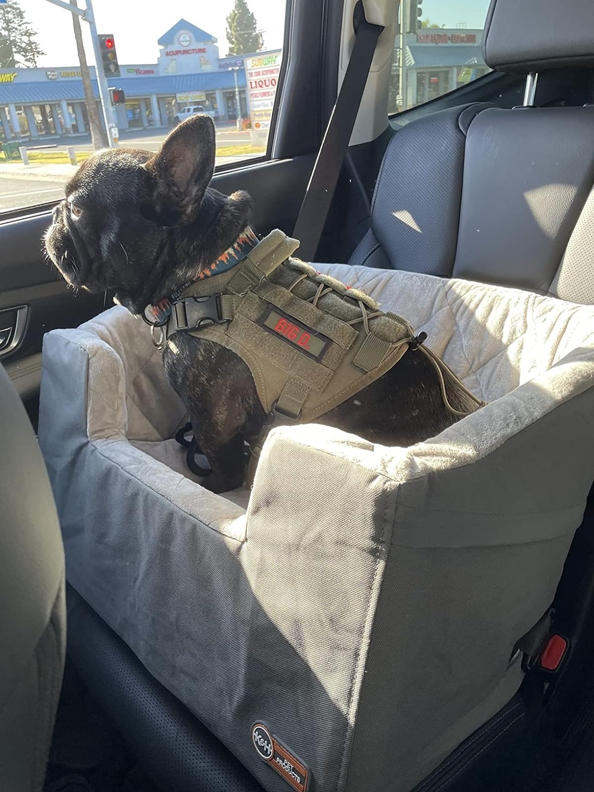 A French Bulldog wearing a harness is seated in a secure dog car seat for safe travel