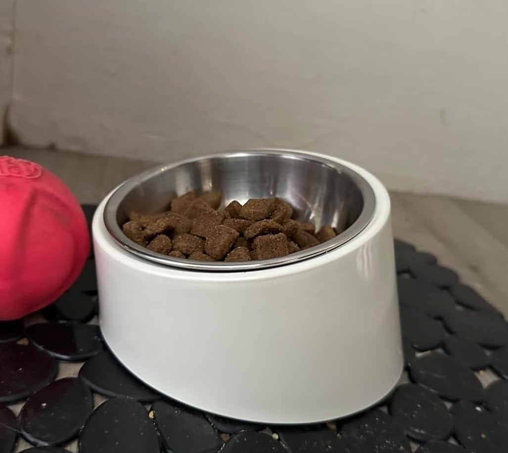 white pet bowl filled with kibble