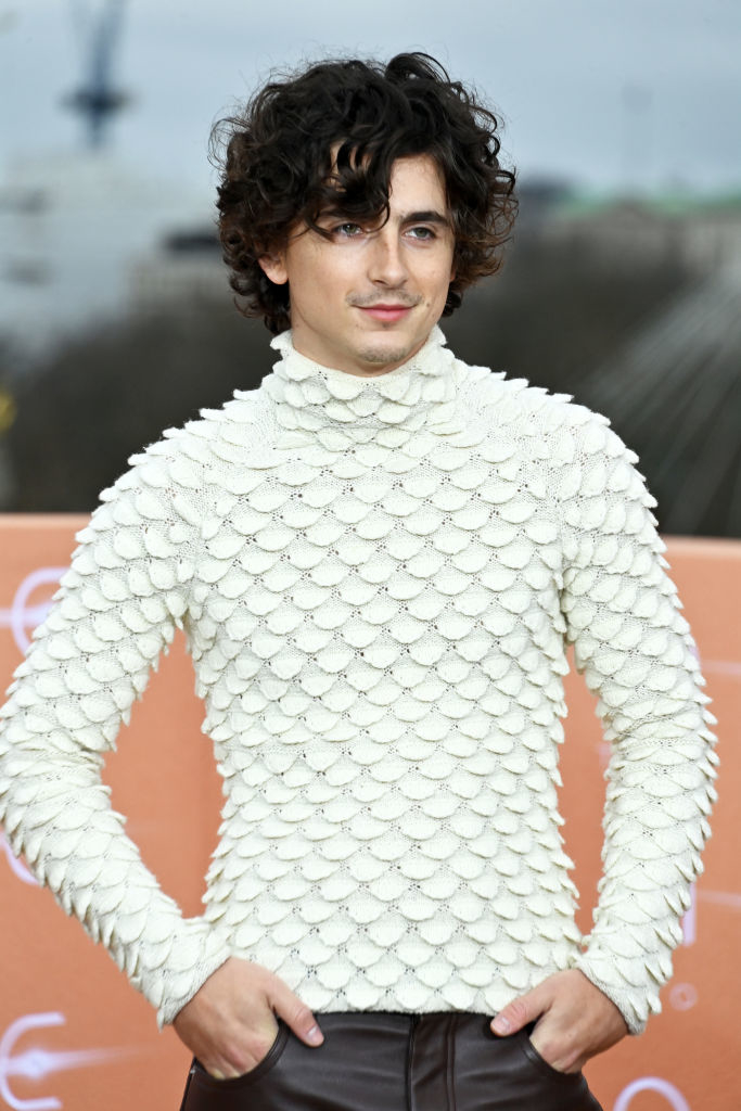 Timothée in unique textured top poses confidently