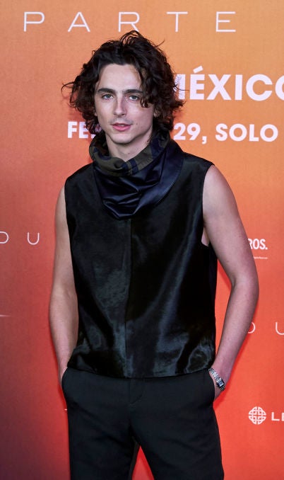 Timothée in a sleeveless top and scarf posing at a &quot;Dune&quot; event