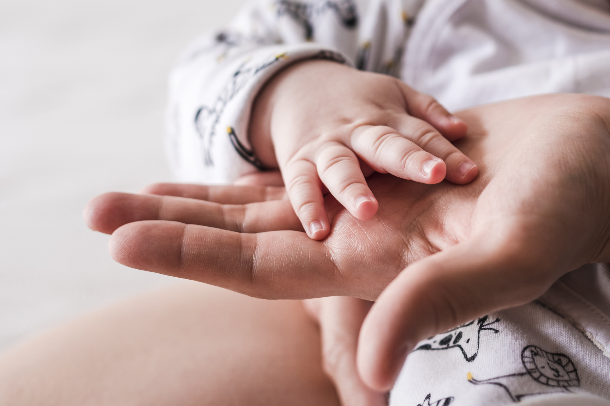 Adult hand holding a baby&#x27;s hand