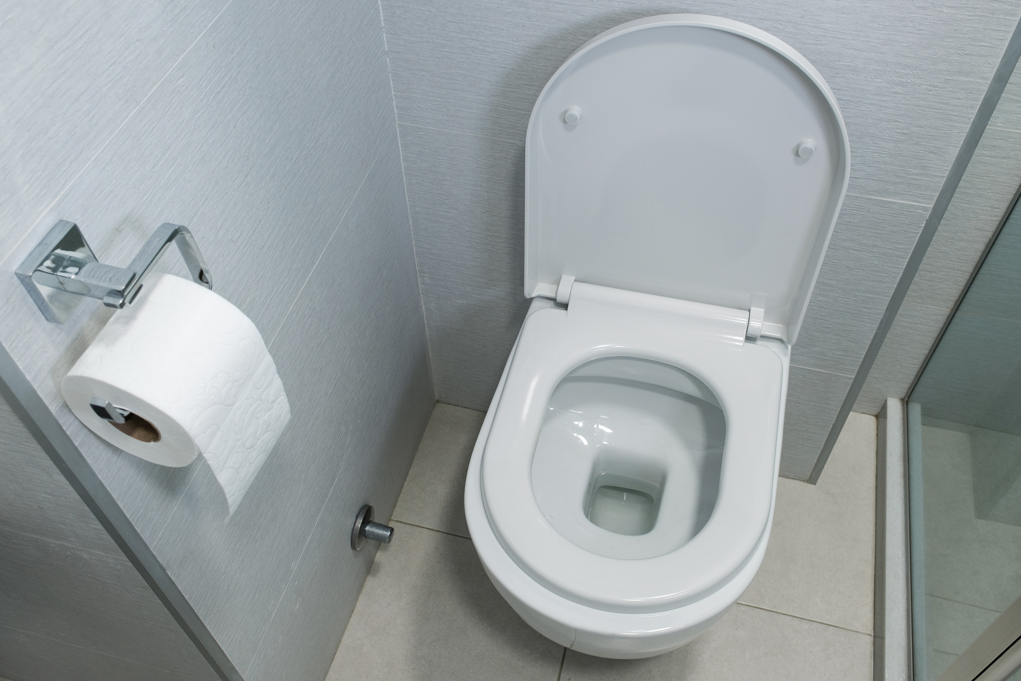 Toilet with open lid and a roll of toilet paper on the holder in a bathroom