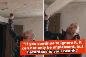 HGTv star pulling down ceiling with quote: "if you continue to ignore it, it can not only be unpleasant, but hazardous to your health."