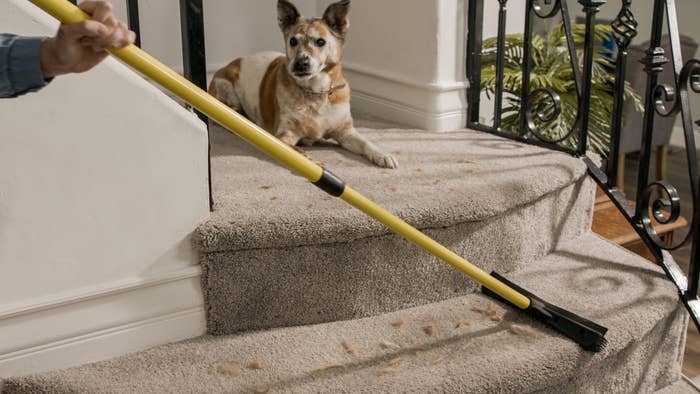 Model using the pet hair broom on carpeted stairs
