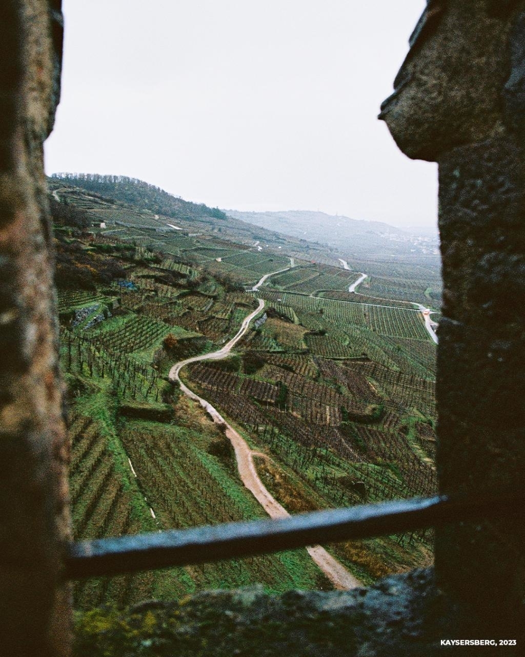View from a stone window overlooking a winding path through vineyards