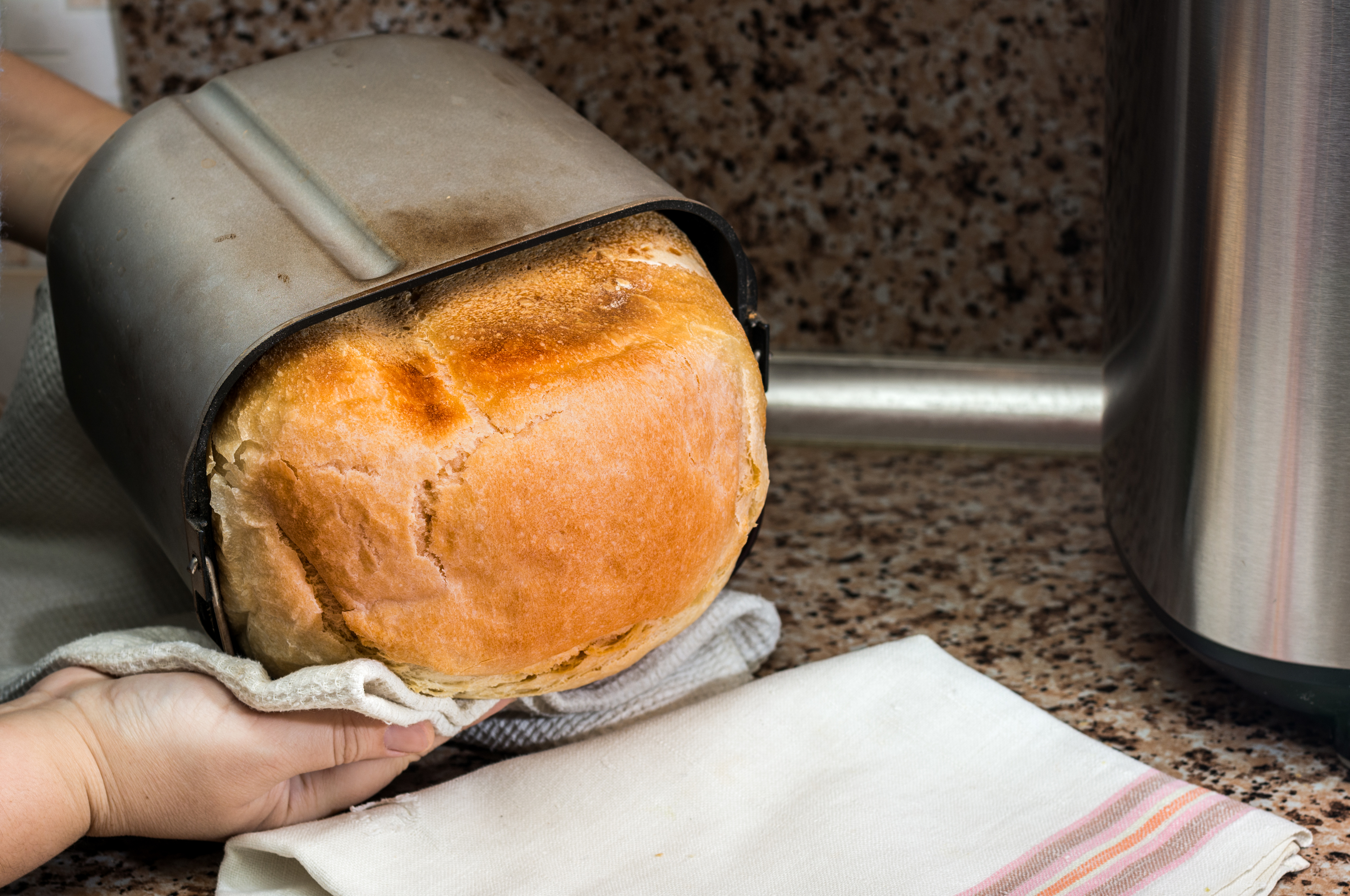 Person removing freshly baked loaf of bread from a metal bread-maker