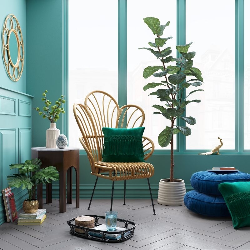 rattan armchair with green cushion in stylish interior next to a fiddle-leaf fig plant, with decorative items and a side table