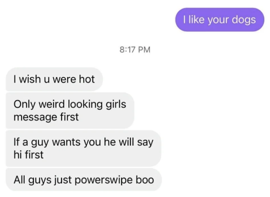 &quot;i like your dogs&quot; reply: &quot;i wish you were hot, only weird looking girls message first, if a guy wants you he will say hi first, all guys just powerswipe boo&quot;