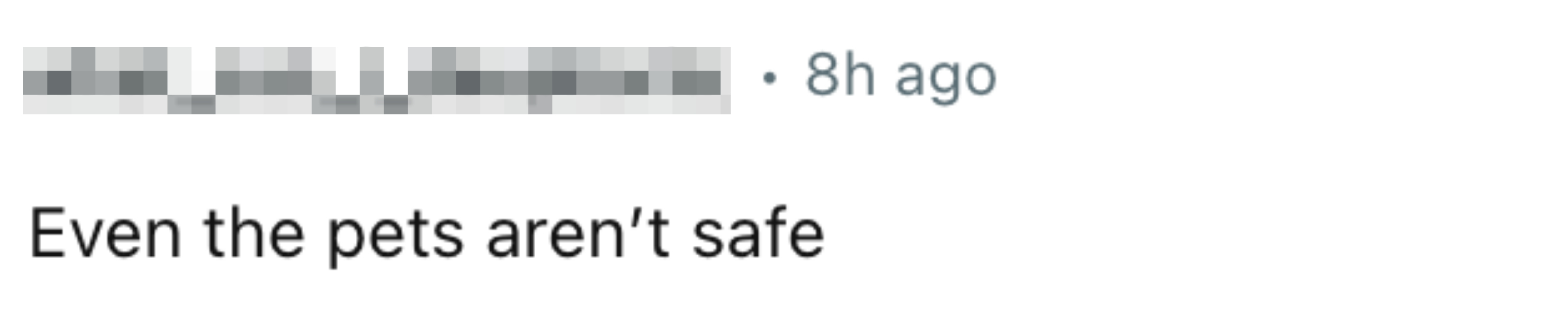 User&#x27;s profile with text: &quot;Even the pets aren&#x27;t safe&quot;
