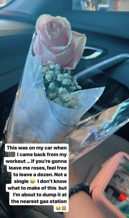 single rose captioned &quot;this was on my car when I came back from my workout...if you&#x27;re gonna leave me roses, feel free to leave a dozen. Not a single. I don&#x27;t know what to make of this but I&#x27;m about to dump it at the nearest gas station&quot;