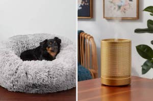 on left: dog sitting in grey faux fur pet bed. on right: gold essential oil diffuser