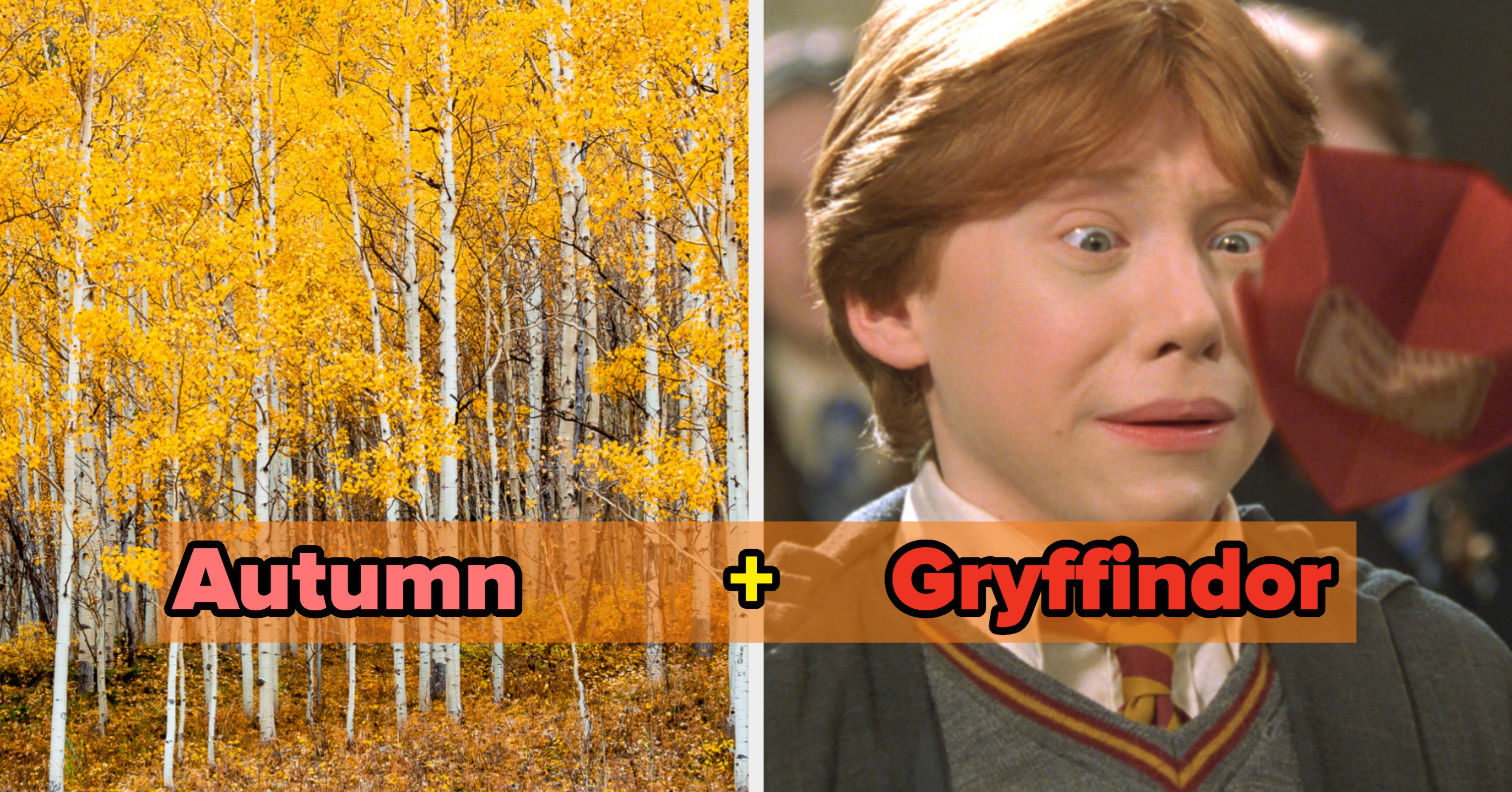 Your Season + Hogwarts House Combo Quiz
