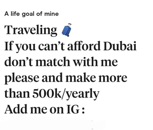 &quot;a life goal of mine: traveling. if you can&#x27;t afford dubai don&#x27;t match with me please and make more than 500k/yearly&quot;