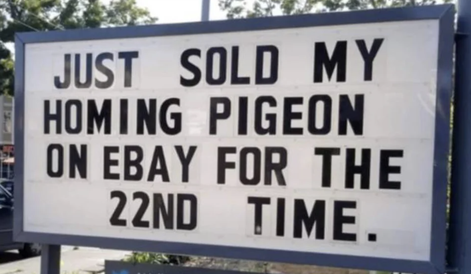 Sign that says, just sold my homing pigeon on eBay for the 22nd time