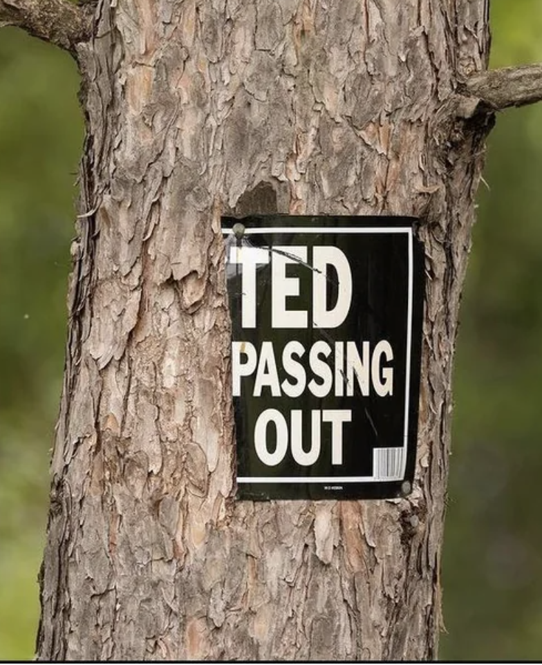 Sign torn in half on a tree reads &quot;TED PASSING OUT&quot;