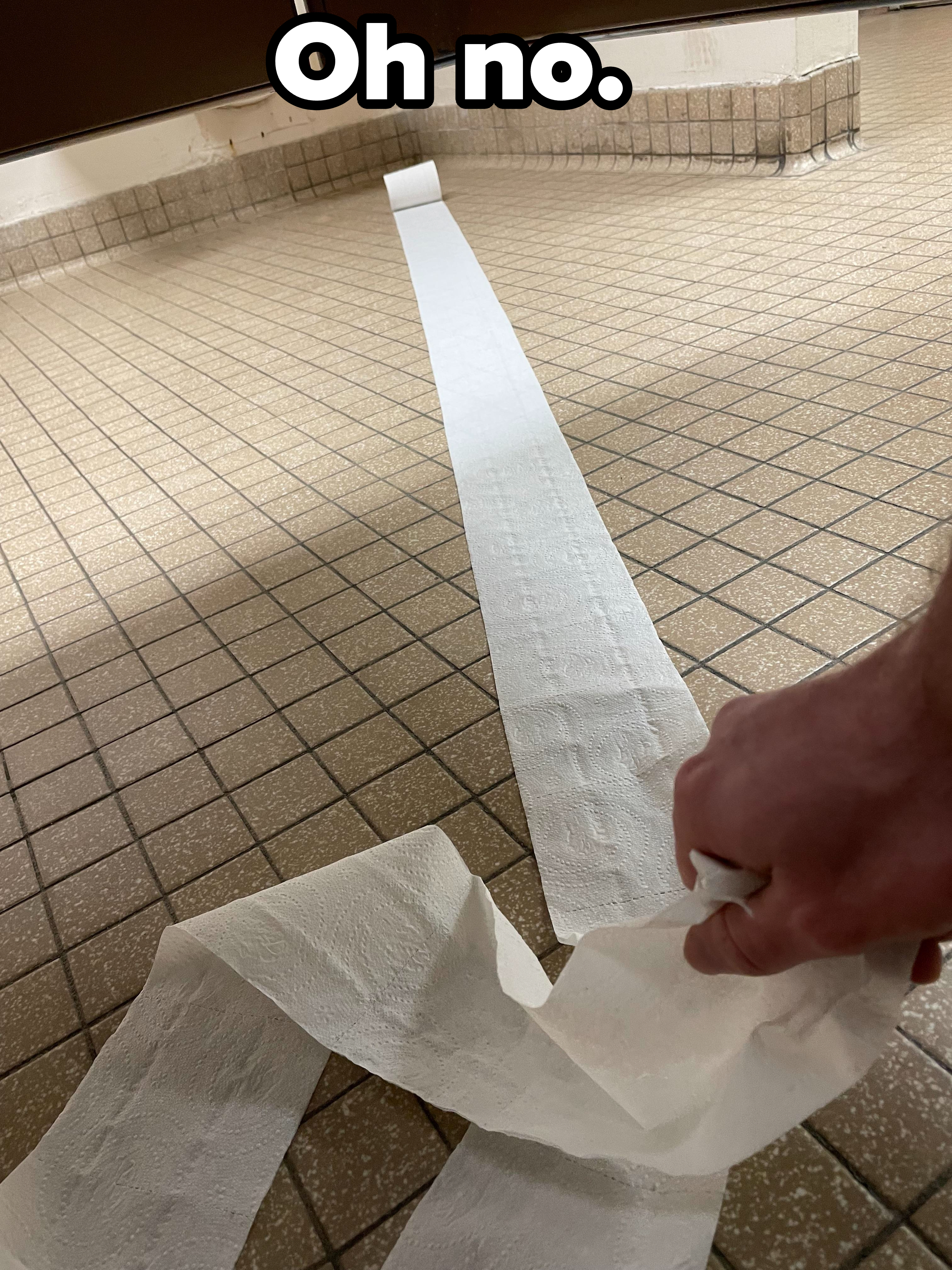 Person reaching for a long, unraveling toilet paper roll in a bathroom