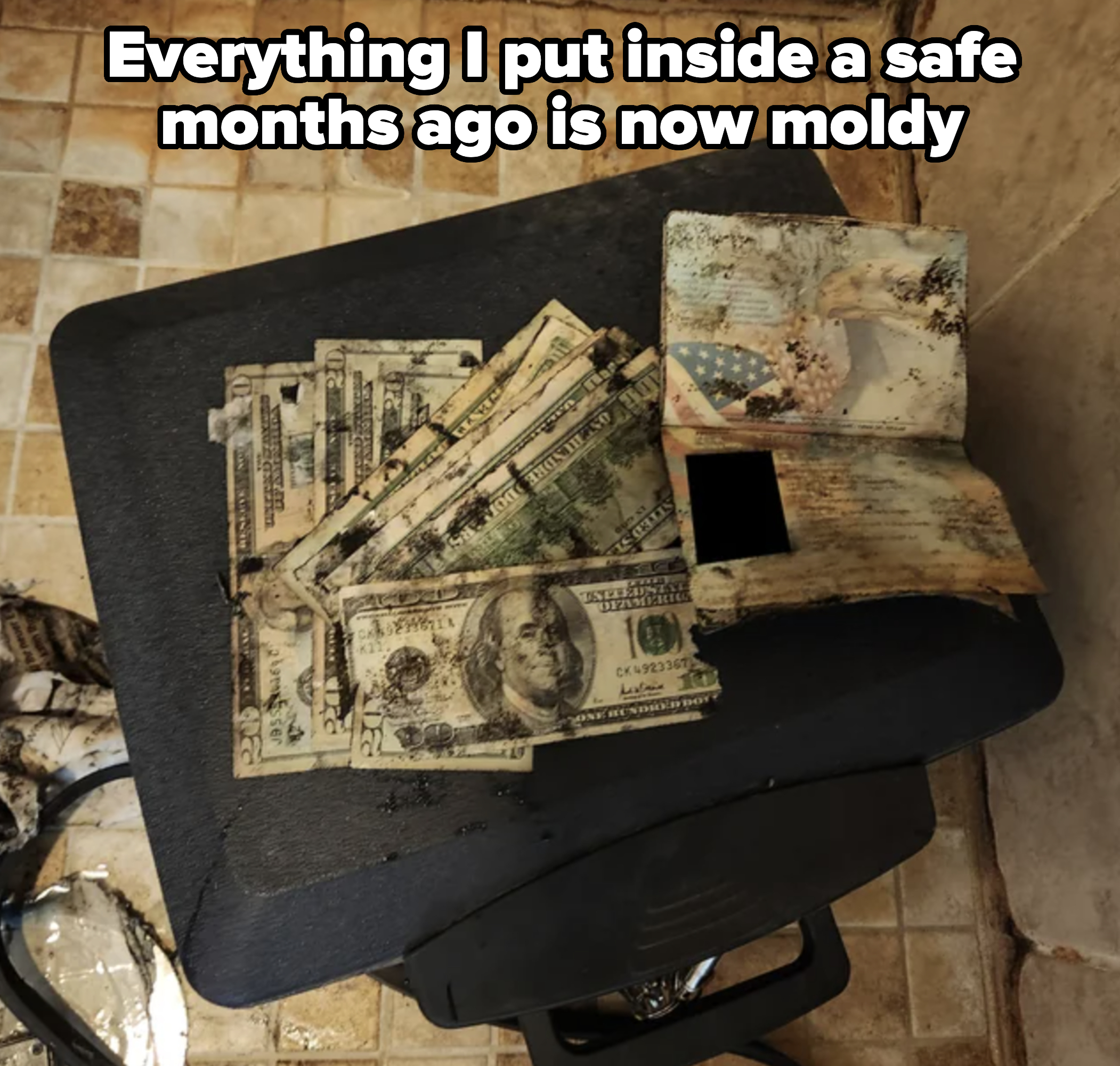 Moldy cash, including $20 and $100 bills, and a passport in a safe