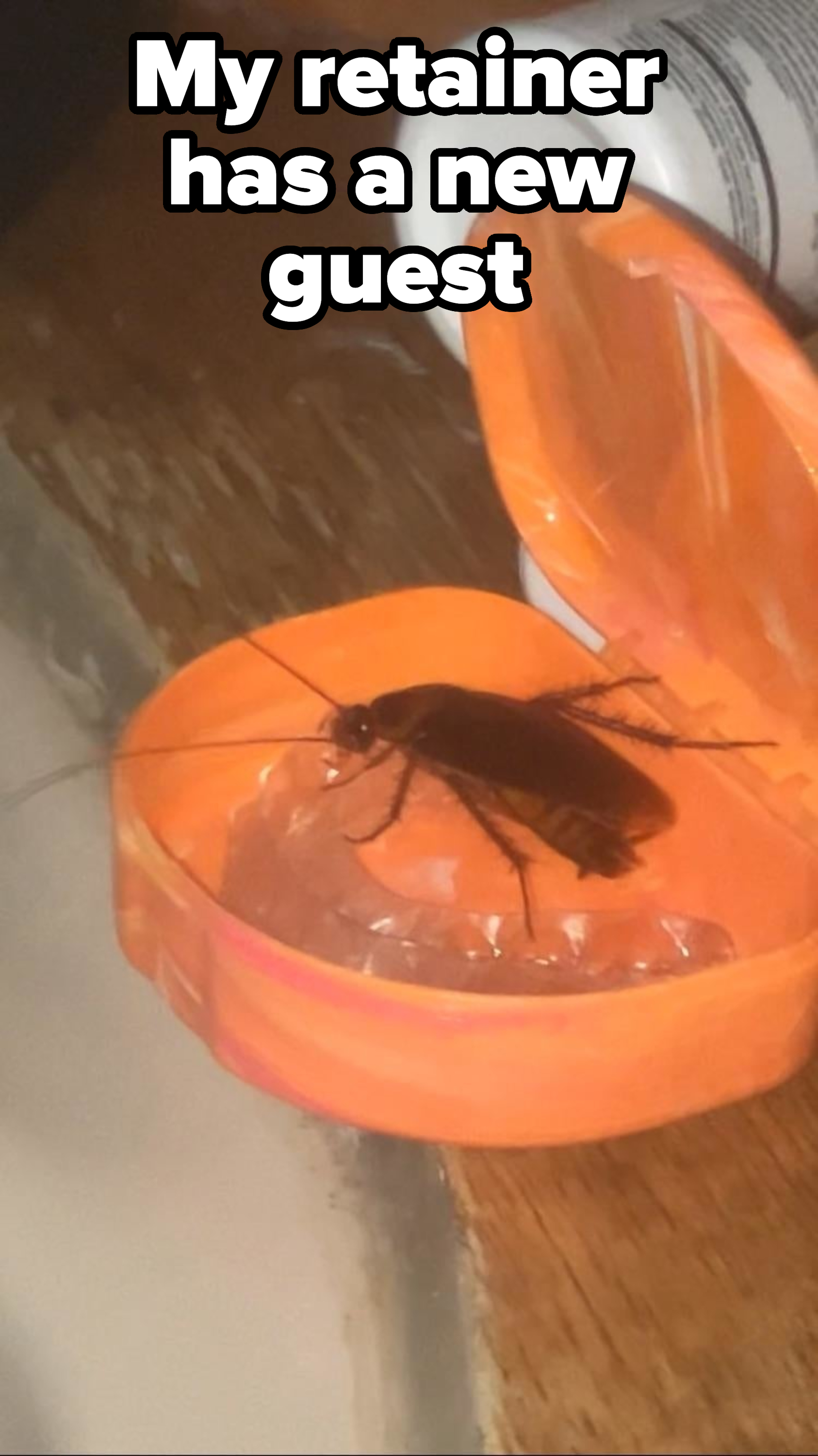 A large cockroach inside an open, heart-shaped plastic container on top of a retainer