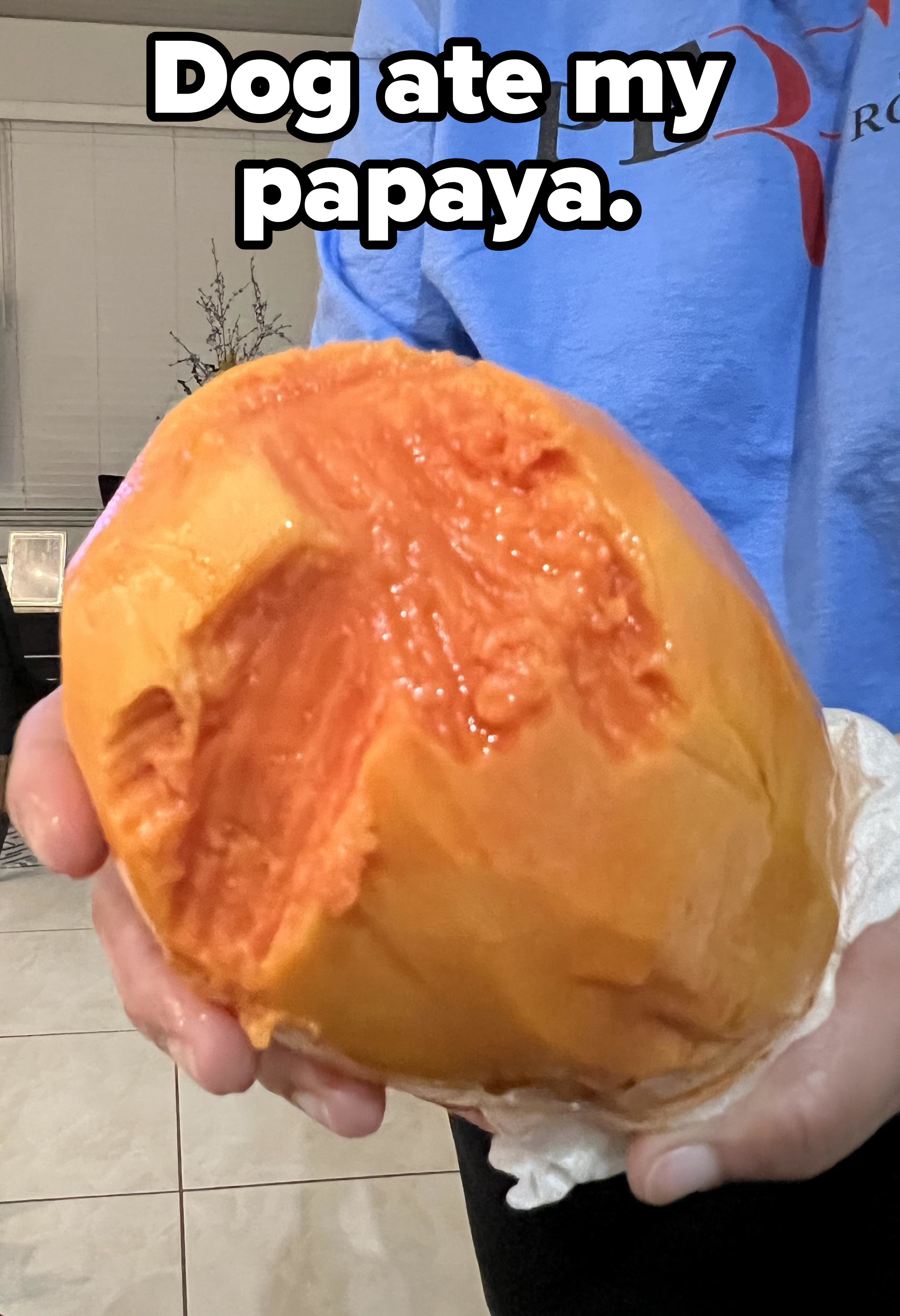 Person holding a partially eaten whole but peeled papaya, indoors