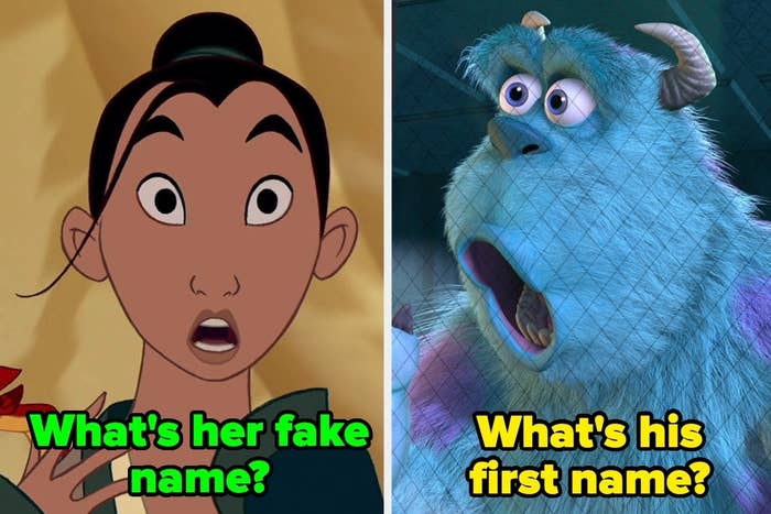 Animated characters Mulan and Sulley with captions questioning their names