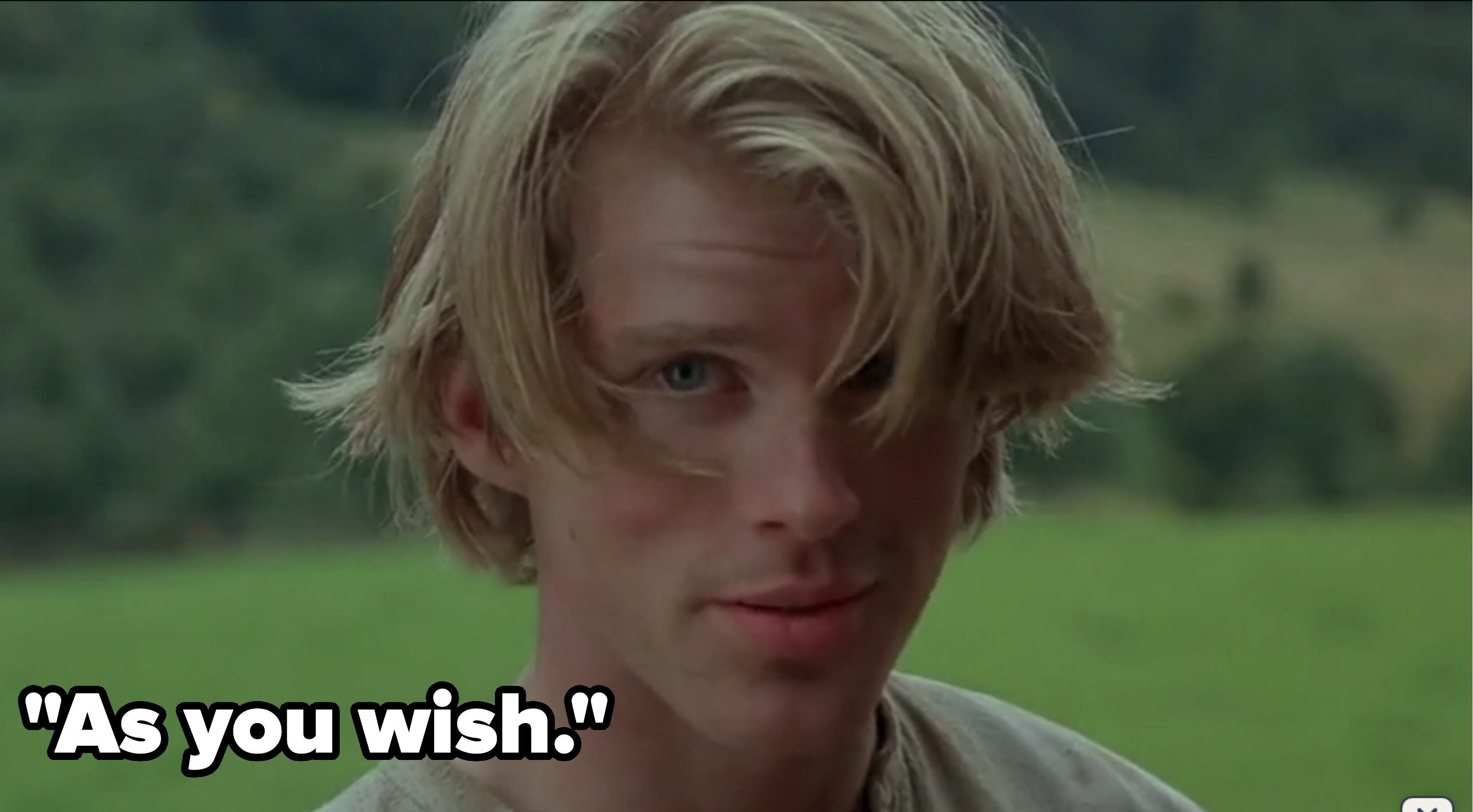Westley from The Princess Bride saying &quot;as you wish&quot;