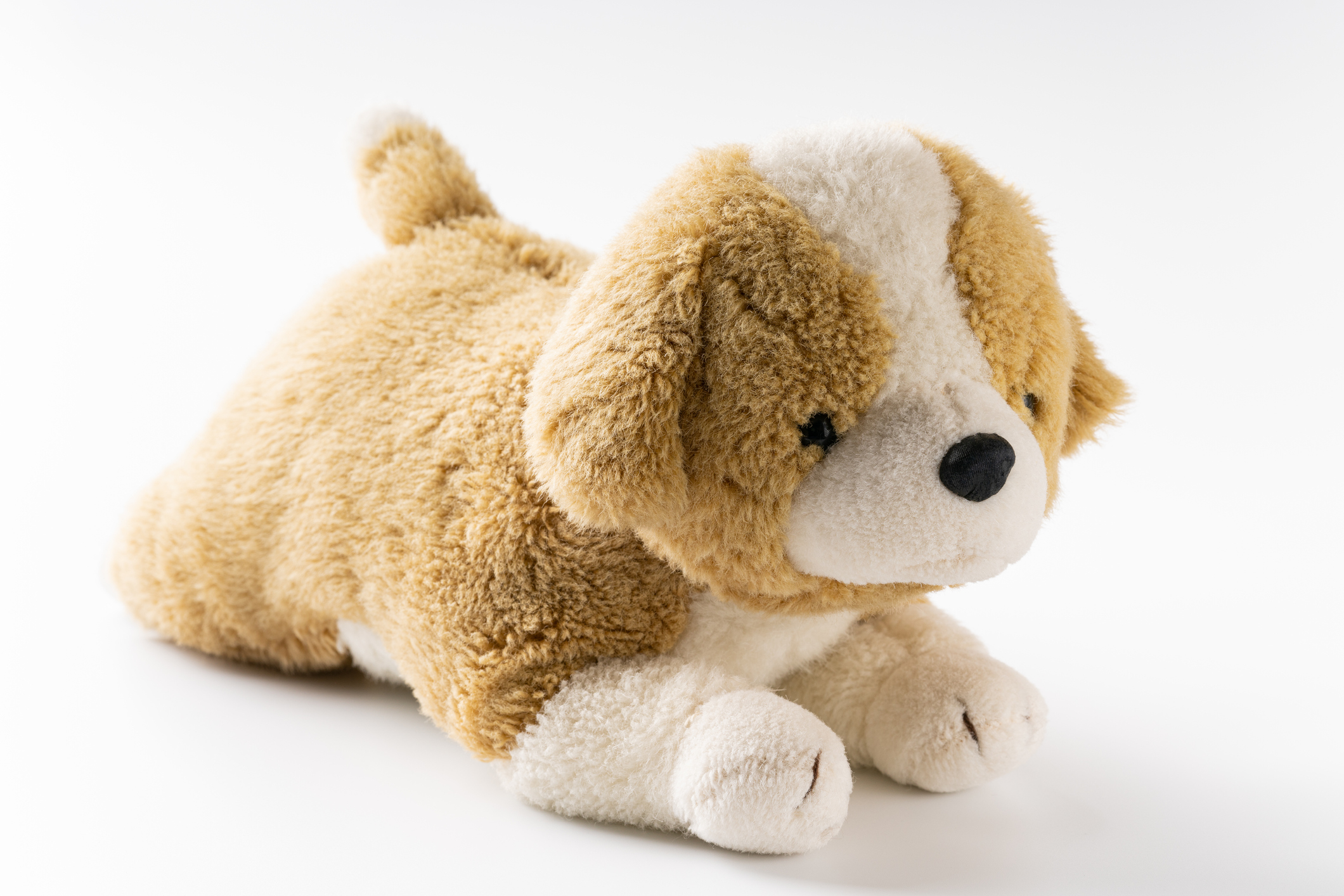 a stuffed puppy toy