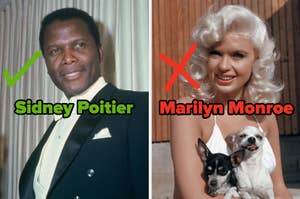 On the left, Sidney Poitier correctly identified as Sidney Poitier, and on the right, Jayne Mansfield incorrectly identified as Marilyn Monroe