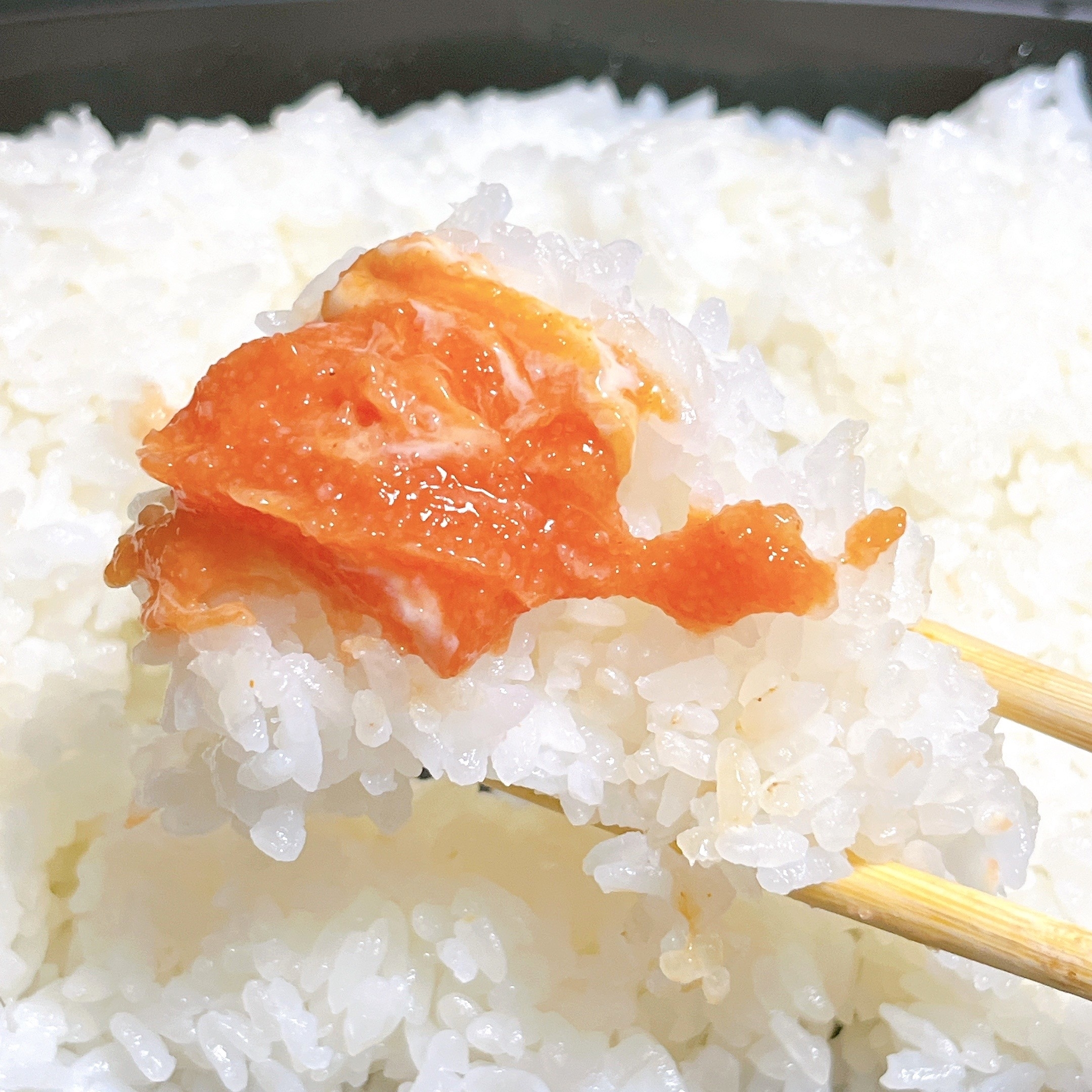 ガストのオススメのメニュー「博多明太てりマヨプレミアムハンバーグ弁当」
