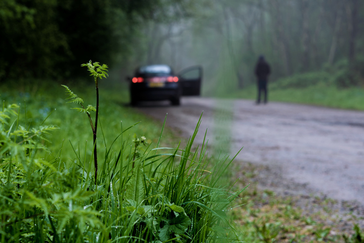 Car with open door on a foggy road, person walking away, focus on roadside vegetation in the foreground