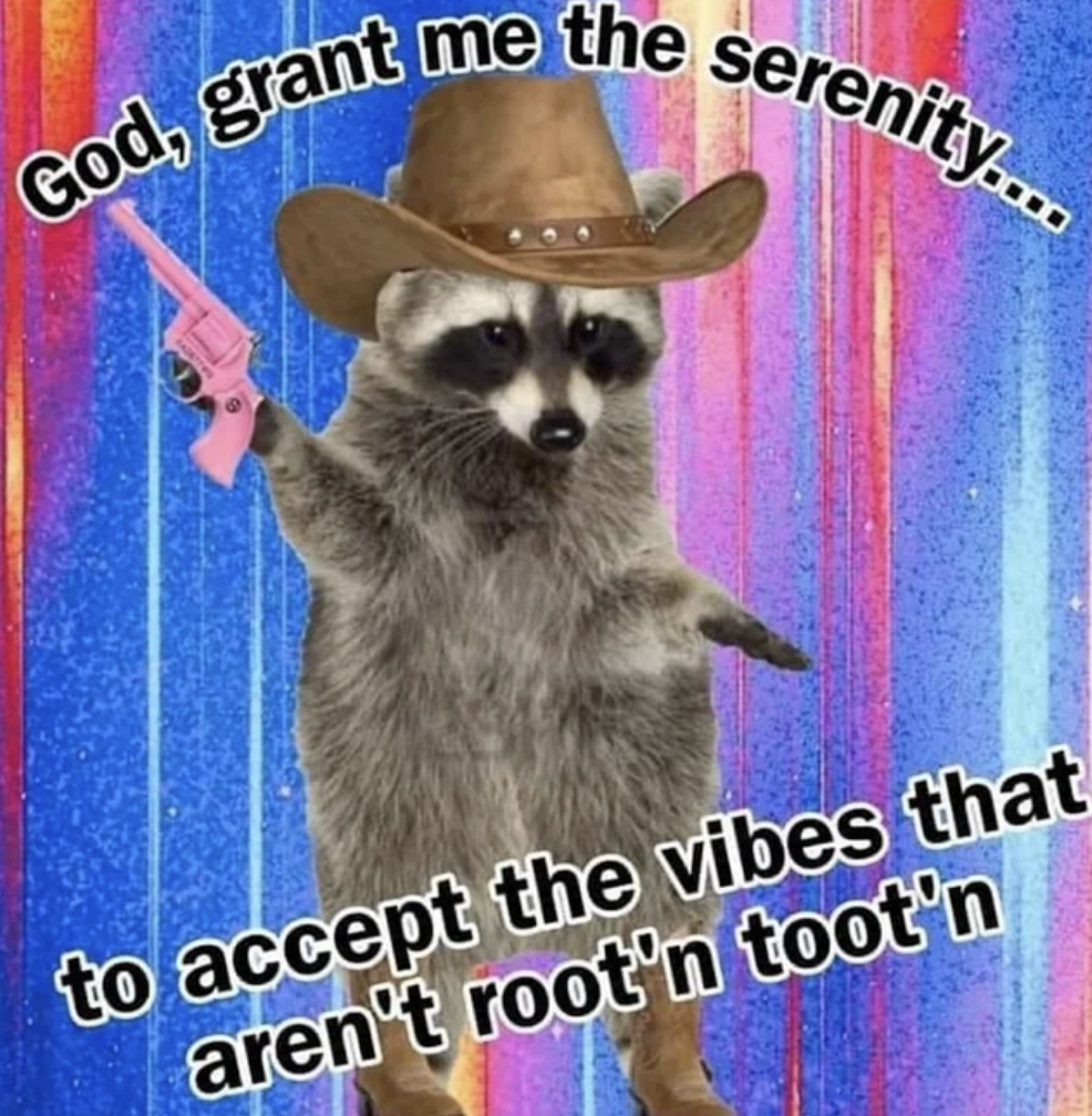 Meme of a raccoon standing upright wearing a cowboy hat, holding a pink gun, with a text prayer for serenity about vibes