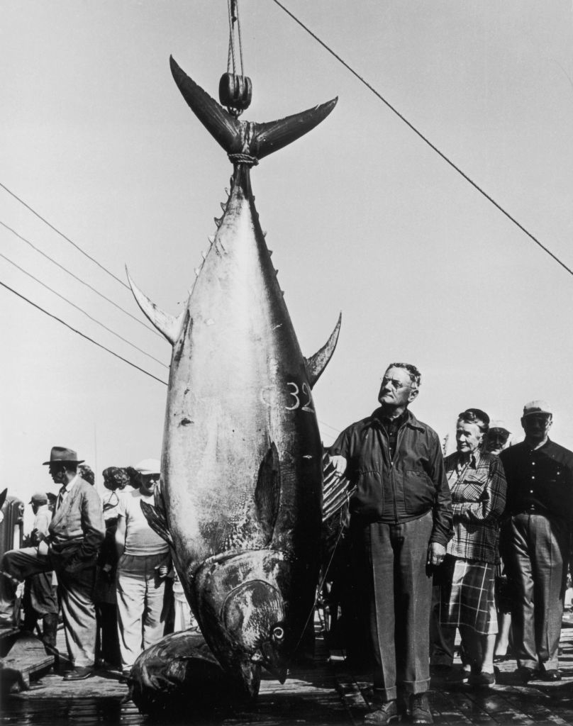 Man standing next to a huge hanging fish, with onlookers in the background. Vintage photo