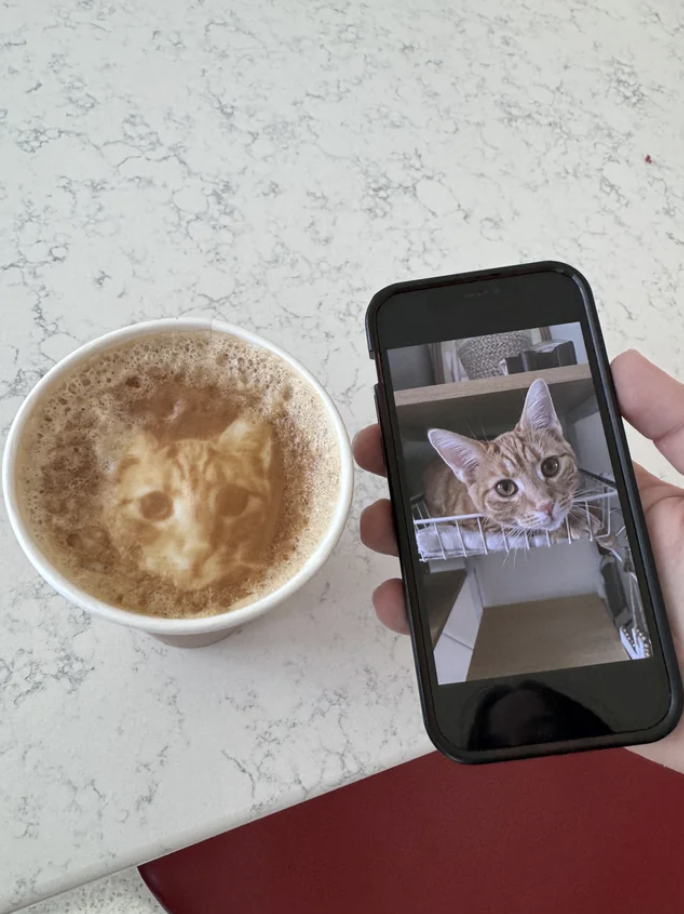 Hand holding a phone displaying a cat, next to a coffee with a similar cat face pattern on foam