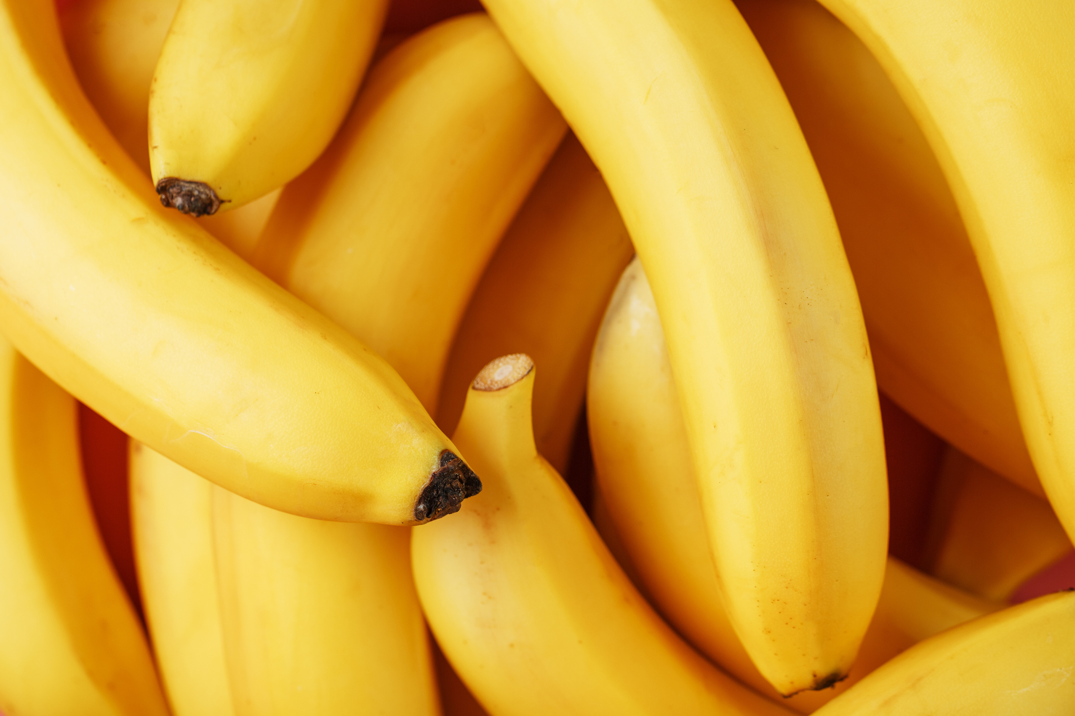 Close-up of a bunch of ripe bananas