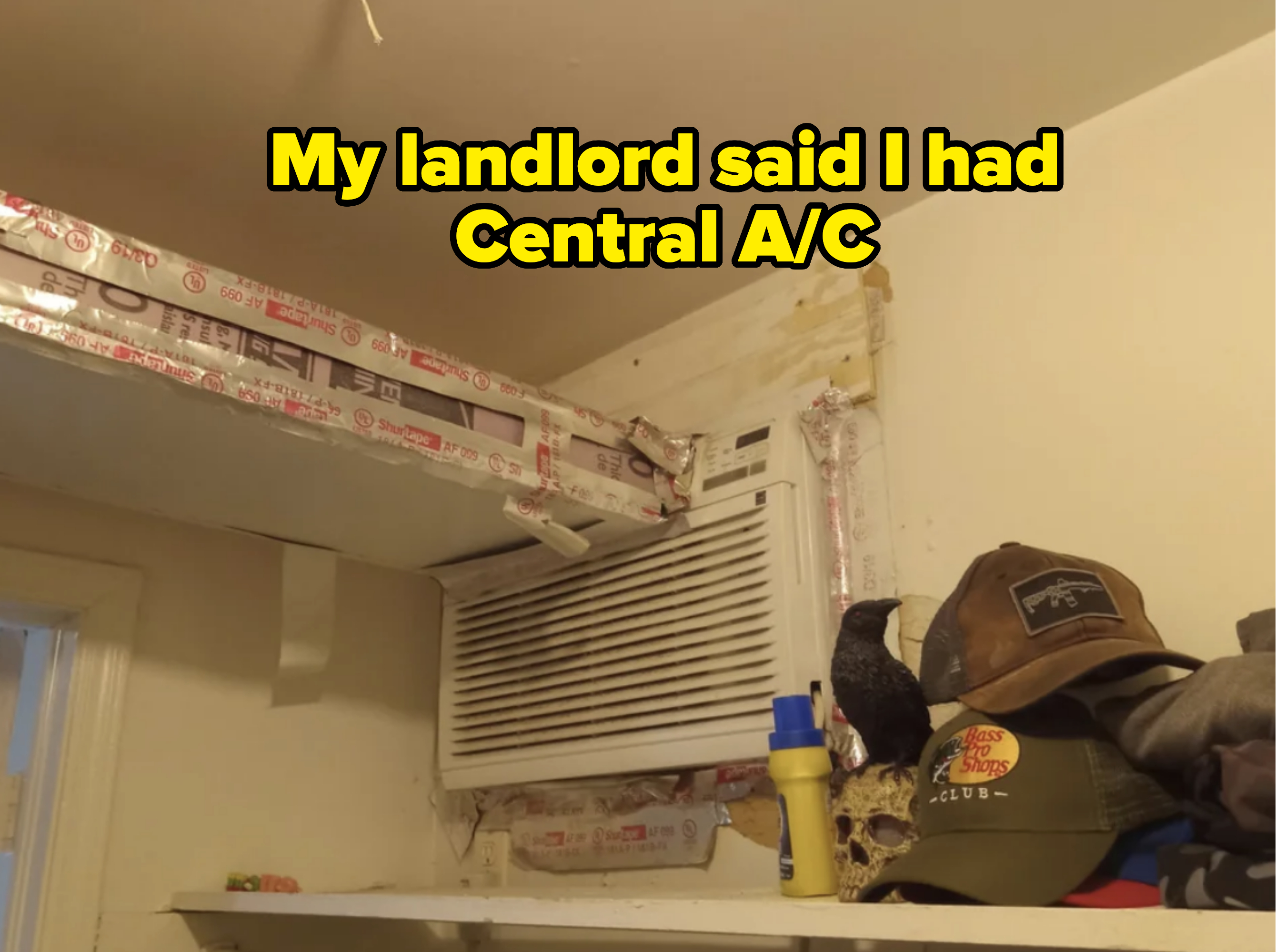 Air conditioner with tape around it, pigeon perched beside a shelf with various items